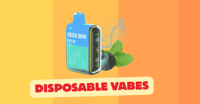 Quick Facts About Disposable Vapes
